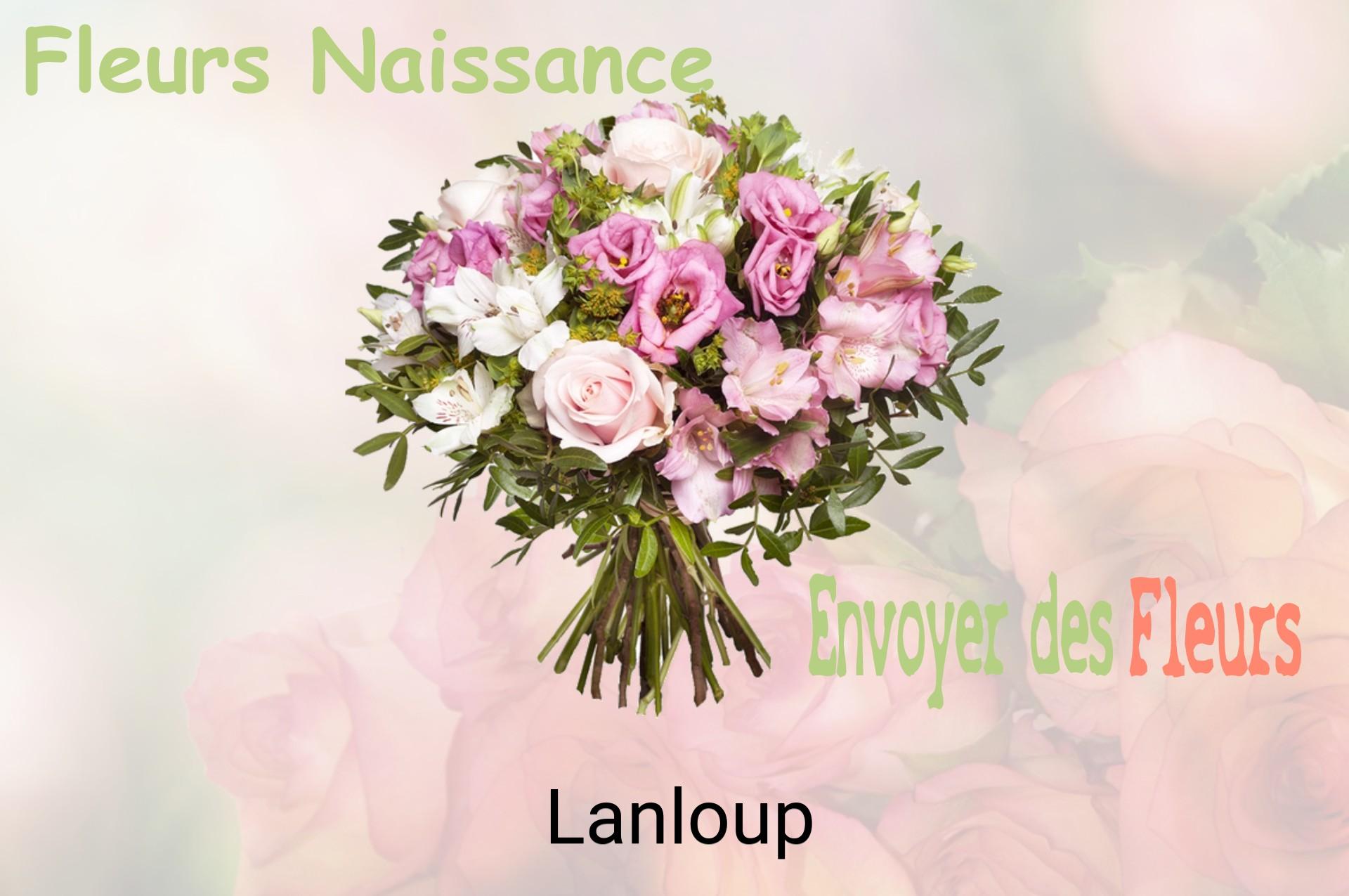 Bouquet de fleurs de naissance livré à Lanloup
